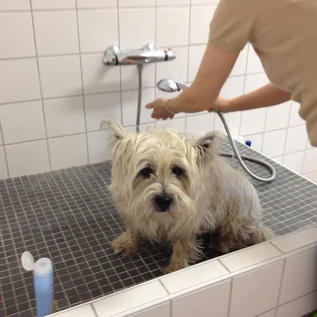 Hotel To'n Schlagboom 2*