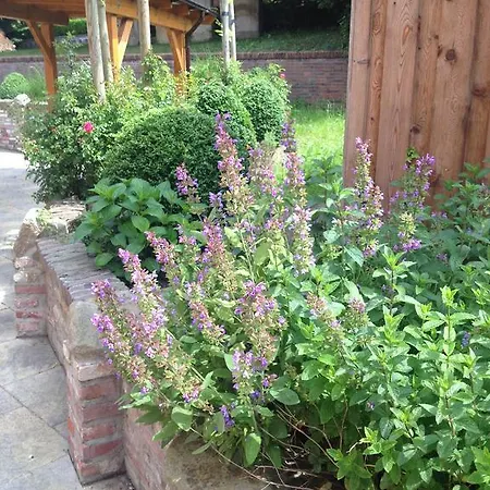 Hotell To'n Schlagboom 2*