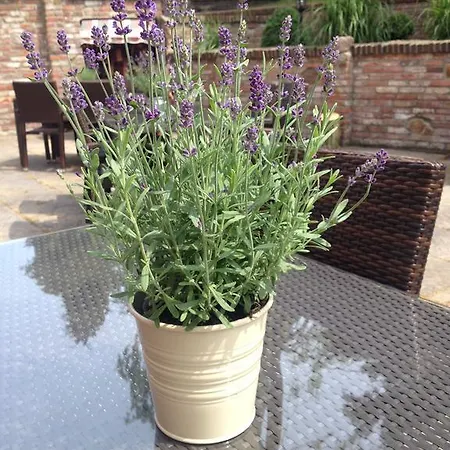 To'n Schlagboom Hotell 2*