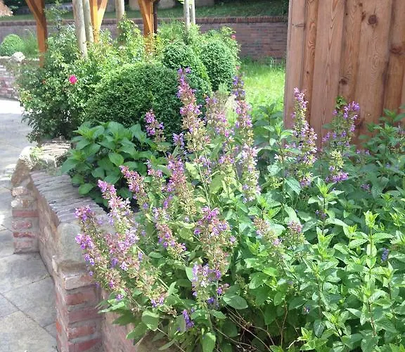 Отель To'n Schlagboom 2*