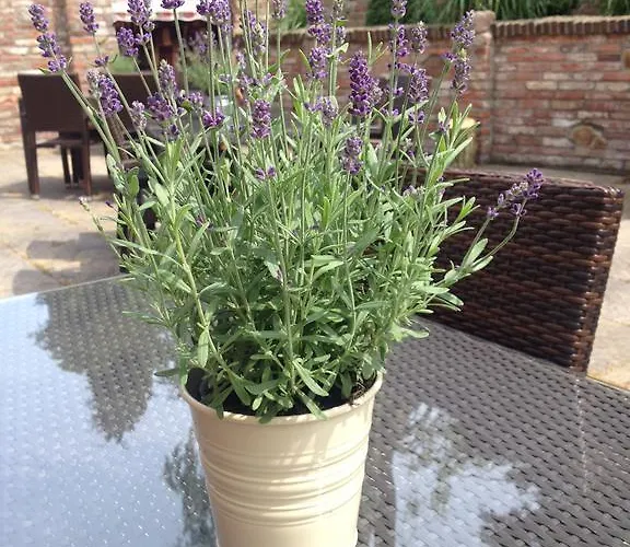 To'n Schlagboom Отель 2*